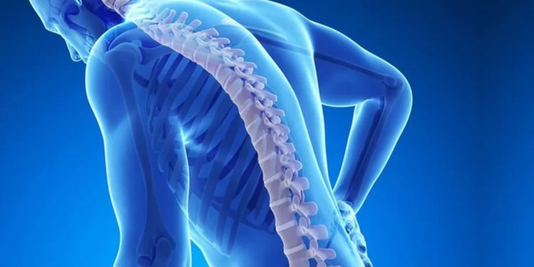 Kemik Erimesine Ne Yapılmalı ? Kemik Erimesi Nedir?