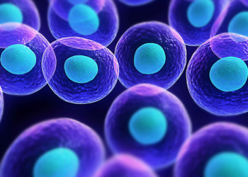 Hücre Yenilenmesi Nasıl Hızlanır?