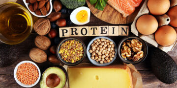 Protein