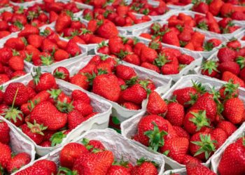 Çileğin Faydaları Nelerdir?