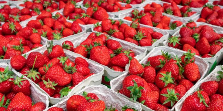 Çileğin Faydaları Nelerdir?