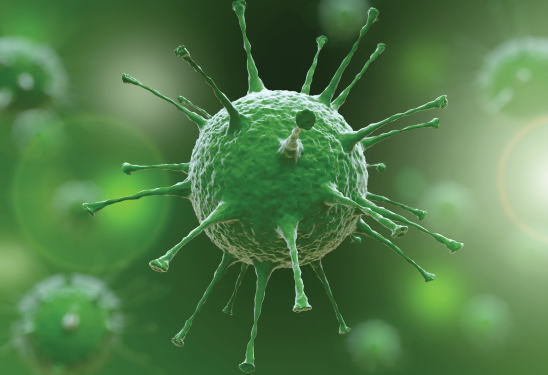 Korona Virüs Olanların Dikkat Etmesi Gerekenler;