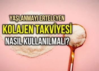 Hangi Kolajeni Kullanmalıyız?