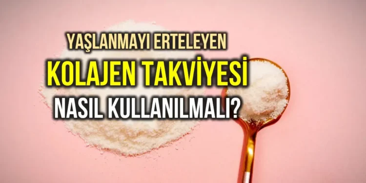 Hangi Kolajeni Kullanmalıyız?