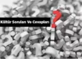 Bilinmesi Gereken Genel Kültür Soruları