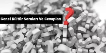 Bilinmesi Gereken Genel Kültür Soruları