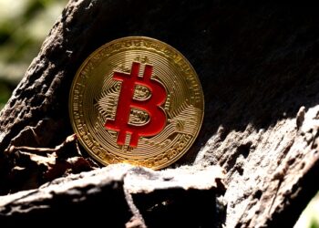 Asia Reserve Currency Coin (ARCC)