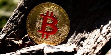 Asia Reserve Currency Coin (ARCC)