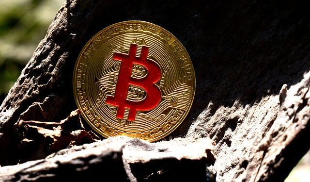 Asia Reserve Currency Coin (ARCC)