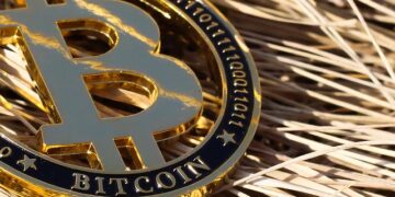 Binance Smart Chain Girl (BSCGIRL)