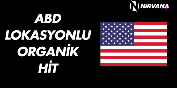 ABD Lokasyonlu Organik Hit Satın Al