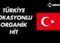 Türkiye Lokasyonlu Organik Hit Satın Al