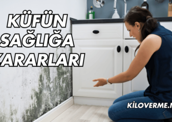 Küfün Sağlığa Zararları Nelerdir