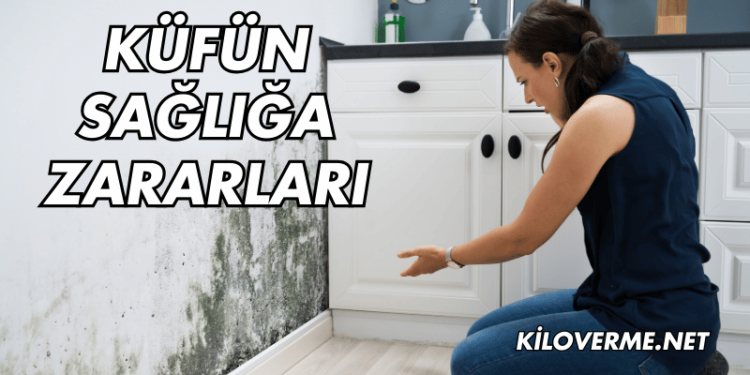 Küfün Sağlığa Zararları Nelerdir