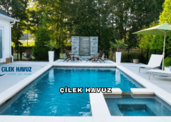 Çilek Havuz Hakkında