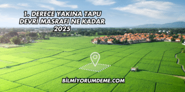 1. Derece Yakına Tapu Devri Masrafı Ne Kadar 2025