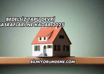 Bedelsiz Tapu Devri Masrafları Ne Kadar 2025