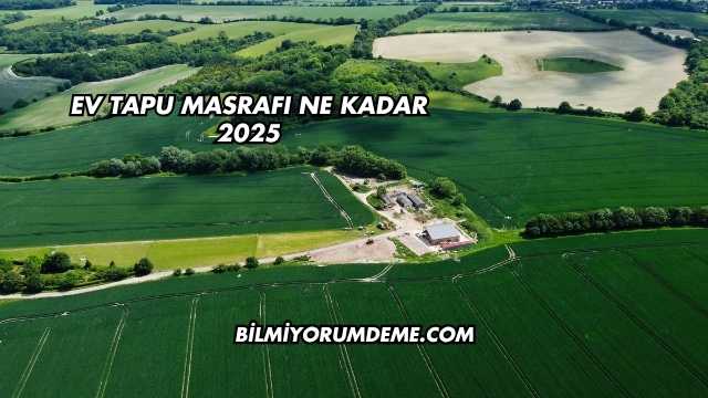 Ev Tapu Masrafı Ne Kadar 2025