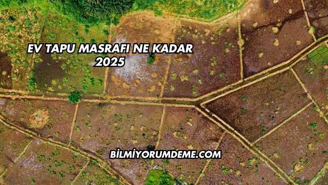 Ev Tapu Masrafı Ne Kadar 2025