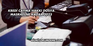 Kredi Cayma Hakkı Dosya Masrafı Ne Kadar 2025