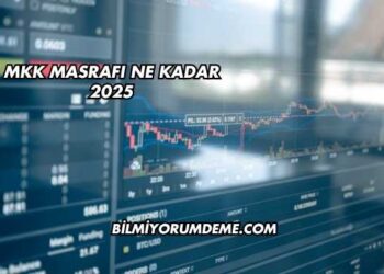 MKK Masrafı Ne Kadar 2025