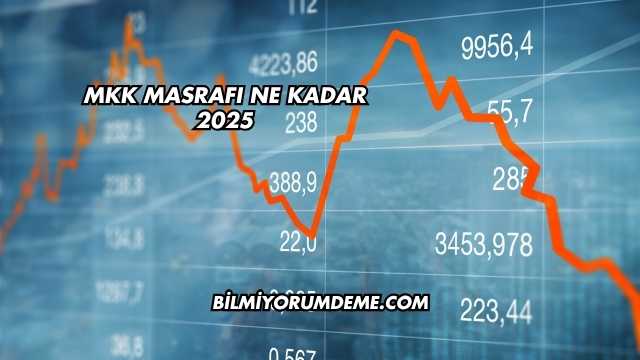 MKK Masrafı Ne Kadar 2025