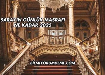Sarayın Günlük Masrafı Ne Kadar 2025