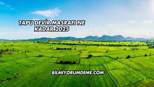 Tapu Devir Masrafı Ne Kadar 2025
