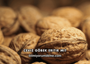 Ceviz Göbek Eritir mi?