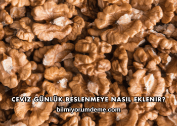 Ceviz Günlük Beslenmeye Nasıl Eklenir?