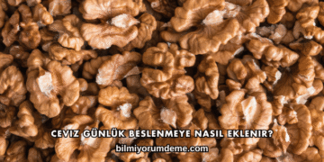 Ceviz Günlük Beslenmeye Nasıl Eklenir?