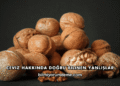 Ceviz Hakkında Doğru Bilinen Yanlışlar