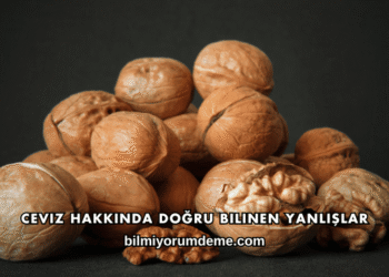 Ceviz Hakkında Doğru Bilinen Yanlışlar
