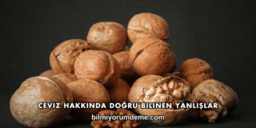 Ceviz Hakkında Doğru Bilinen Yanlışlar