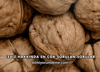 Ceviz Hakkında En Çok Sorulan Sorular