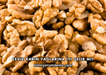 Ceviz Karın Yağlarına İyi Gelir mi?