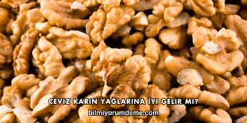 Ceviz Karın Yağlarına İyi Gelir mi?