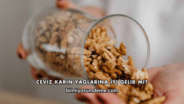 Ceviz Karın Yağlarına İyi Gelir mi?