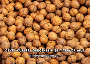Ceviz Kürleri Gerçekten İşe Yarıyor mu?