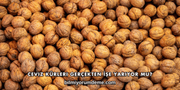 Ceviz Kürleri Gerçekten İşe Yarıyor mu?