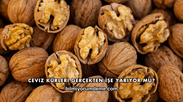 Ceviz Kürleri Gerçekten İşe Yarıyor mu?