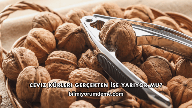 Ceviz Kürleri Gerçekten İşe Yarıyor mu?