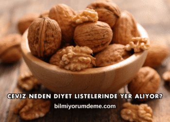 Ceviz Neden Diyet Listelerinde Yer Alıyor