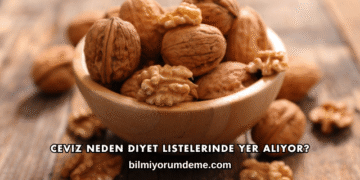 Ceviz Neden Diyet Listelerinde Yer Alıyor