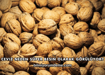 Ceviz Neden Süper Besin Olarak Görülüyor?