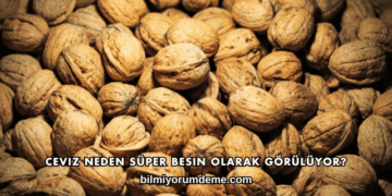 Ceviz Neden Süper Besin Olarak Görülüyor?