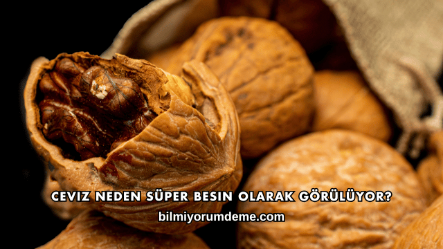Ceviz Neden Süper Besin Olarak Görülüyor?