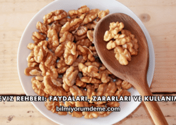 Ceviz Rehberi: Faydaları, Zararları ve Kullanımı