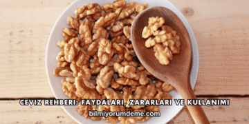 Ceviz Rehberi: Faydaları, Zararları ve Kullanımı