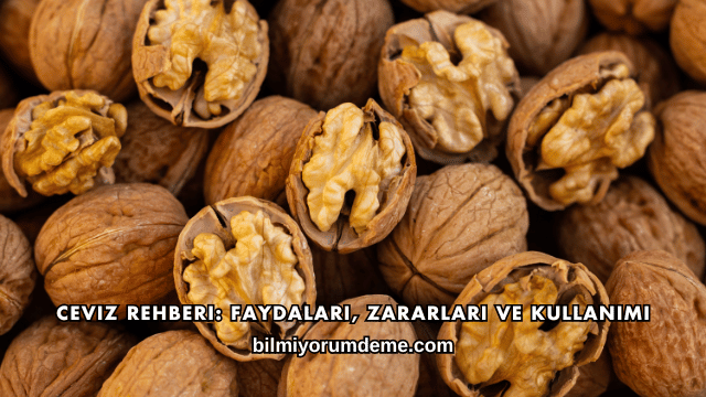 Ceviz Rehberi: Faydaları, Zararları ve Kullanımı